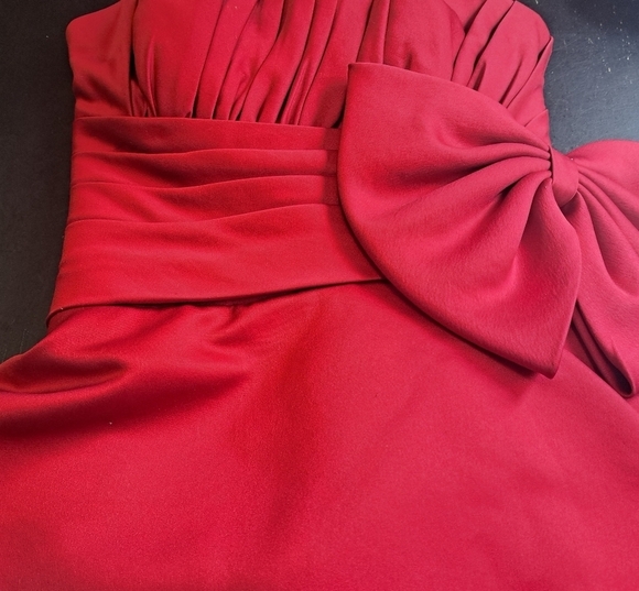 Landy Bridal Wine Strapless Satin Dress Sorority Winter Formal Size Small - Picture 12 of 16